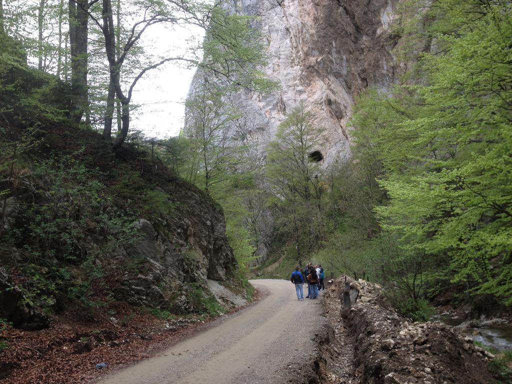 Rosenville Rîşnov Exteriör bild