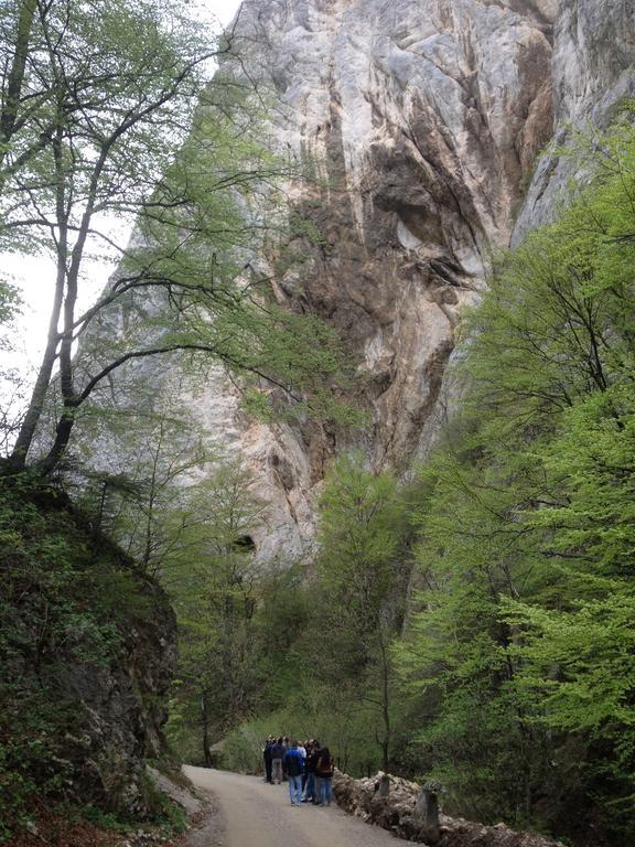 Rosenville Rîşnov Exteriör bild